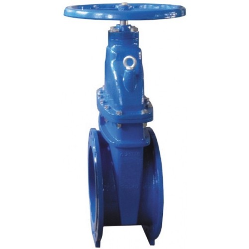 Задвижка клиновая чугунная фланцевая с обрезиненным клином Ру 16 R55F Giacomini 250 мм